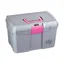 HySHINE Grooming Box in Silver and Raspberry